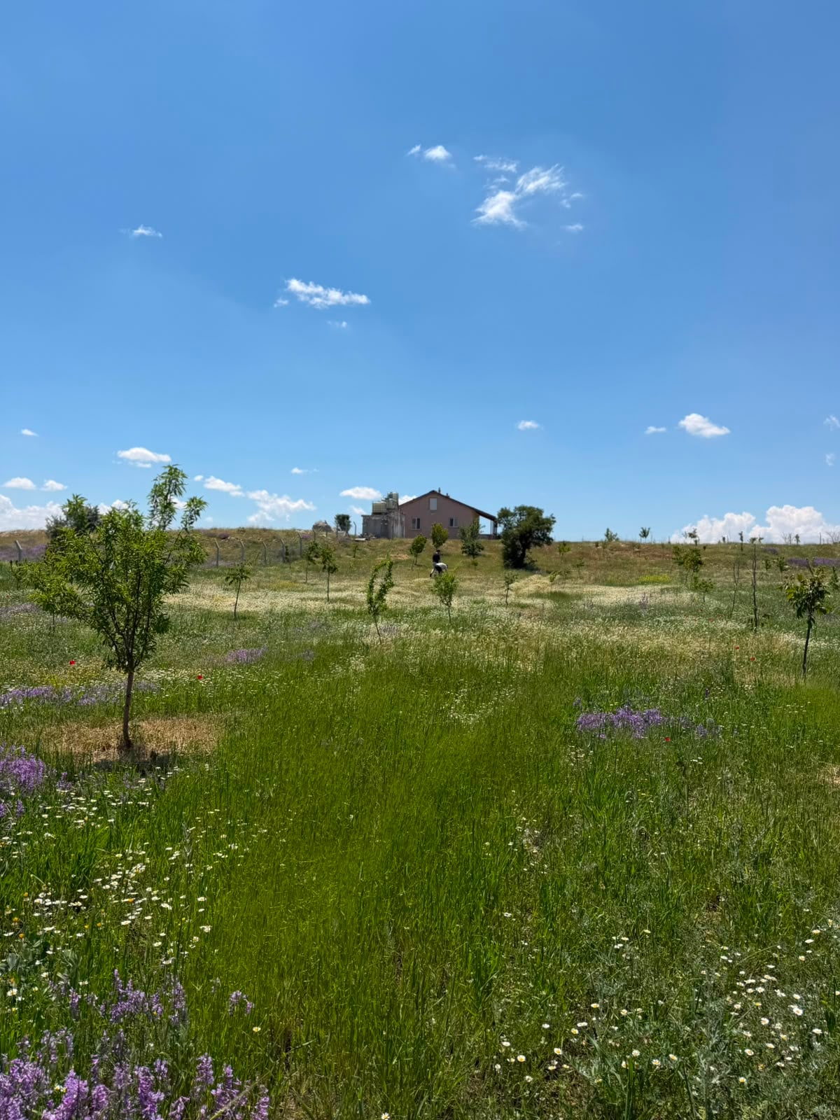 Satılık Karaman Burhan'da 4400m² Arsada 2+1 Müstakil Köy Evi — görsel 13