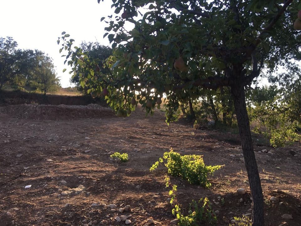 Morcalı Merkez Karaman'da Satılık 780 m² Yola Cepheli Müstakil Tapulu Bağ & Bahçe — görsel 7