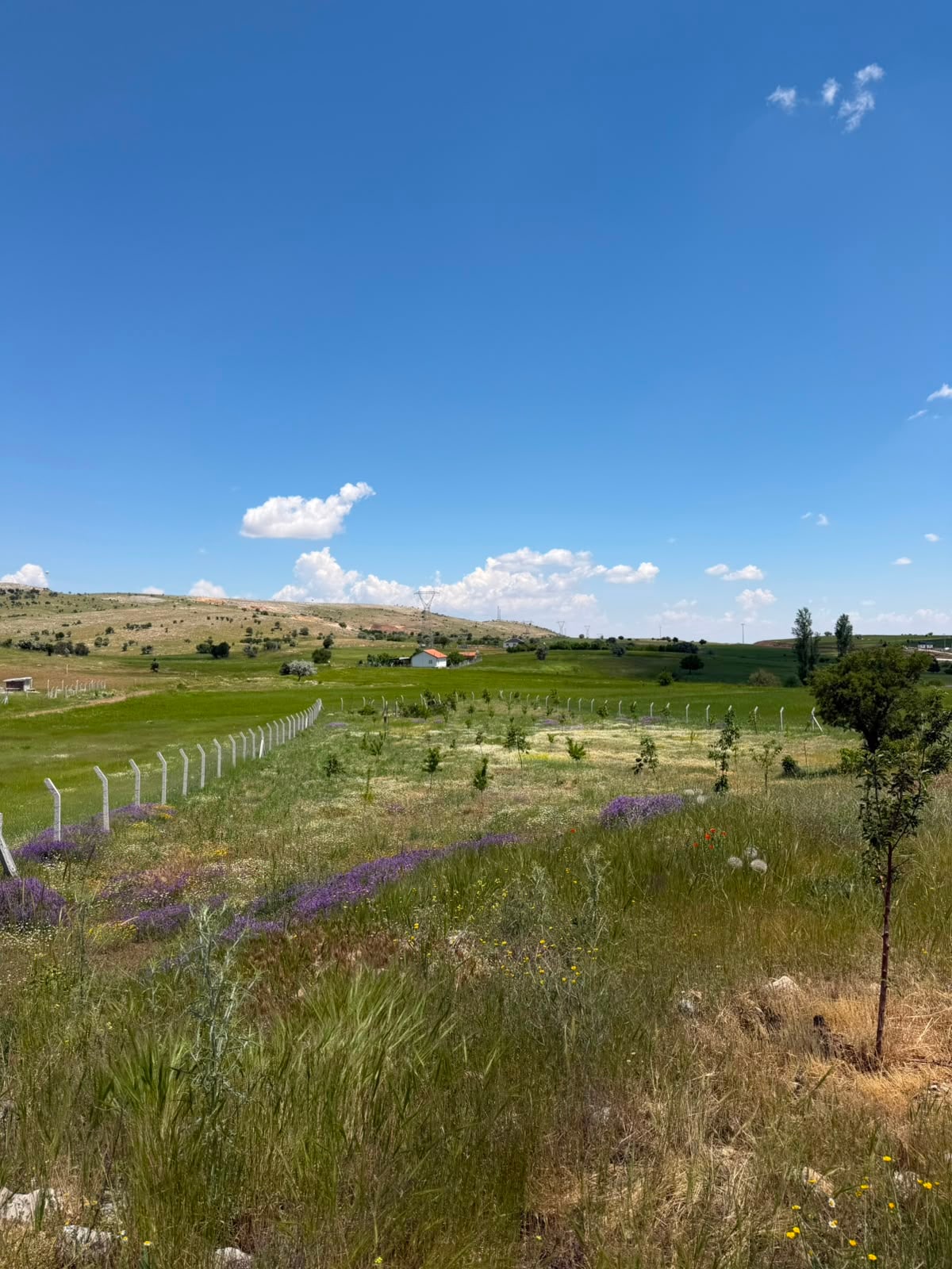 Satılık Karaman Burhan'da 4400m² Arsada 2+1 Müstakil Köy Evi — görsel 4