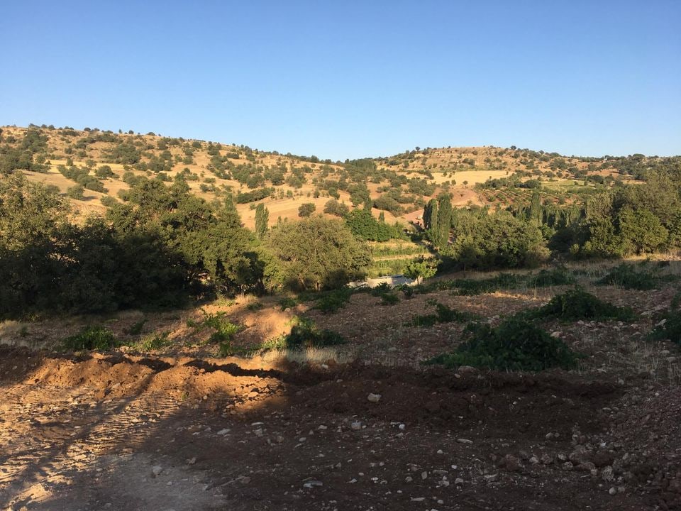 Morcalı Merkez Karaman'da Satılık 780 m² Yola Cepheli Müstakil Tapulu Bağ & Bahçe — görsel 6