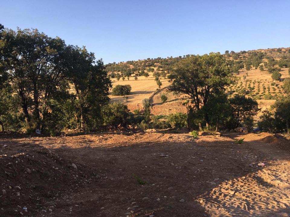 Morcalı Merkez Karaman'da Satılık 780 m² Yola Cepheli Müstakil Tapulu Bağ & Bahçe — görsel 8