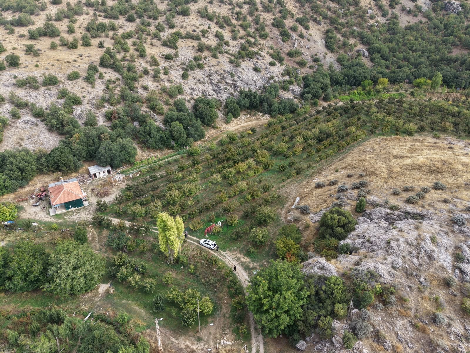 Akköprü’de Dere Kenarında, Evi Ve Elma Bahçesi Bulunan 54.725 M² Mülk — görsel 10