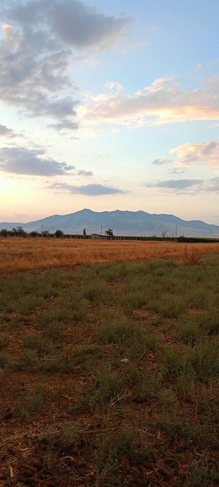 Karaman Merkeze 11 Km Mesafede Göztepe Köyünde 4.395 M2 Satılık Hobi Alanı — görsel 8