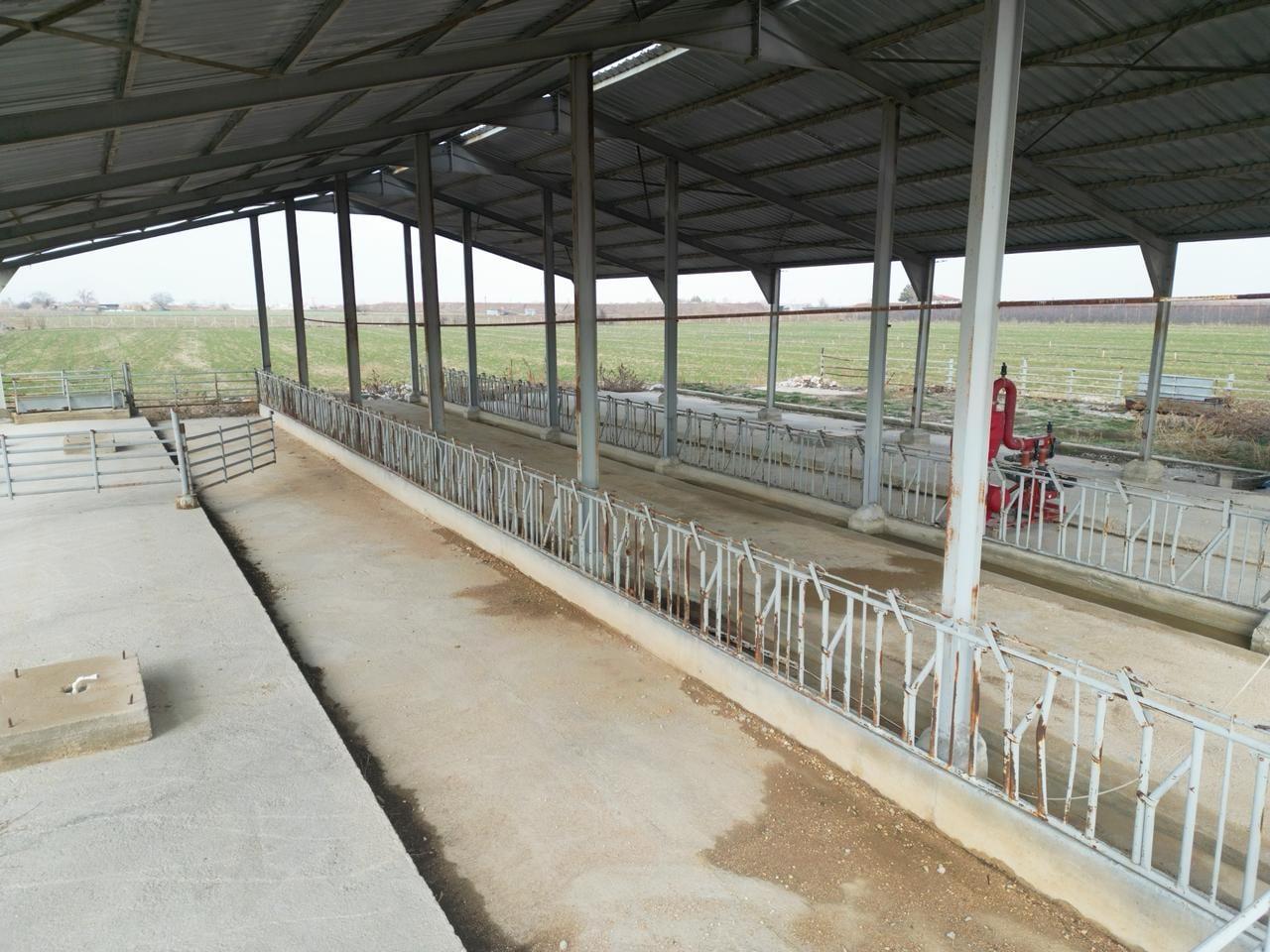 Karaman Merkez Prrireis Mah.açık Ceza Evi Arkası Satılık Çiftlik — görsel 6